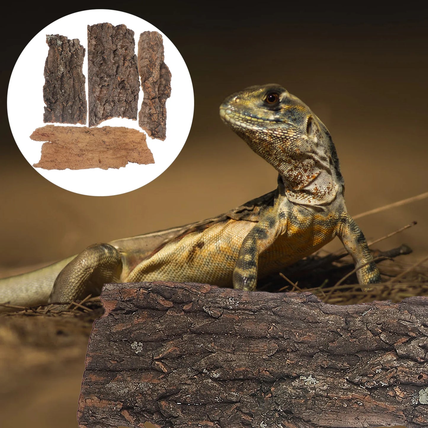 4pcs Natural Cork Bark Reptile Climbing Platform – Flat Tree Bark Terrarium Decor for Lizards, Snakes & Amphibian Tank Background