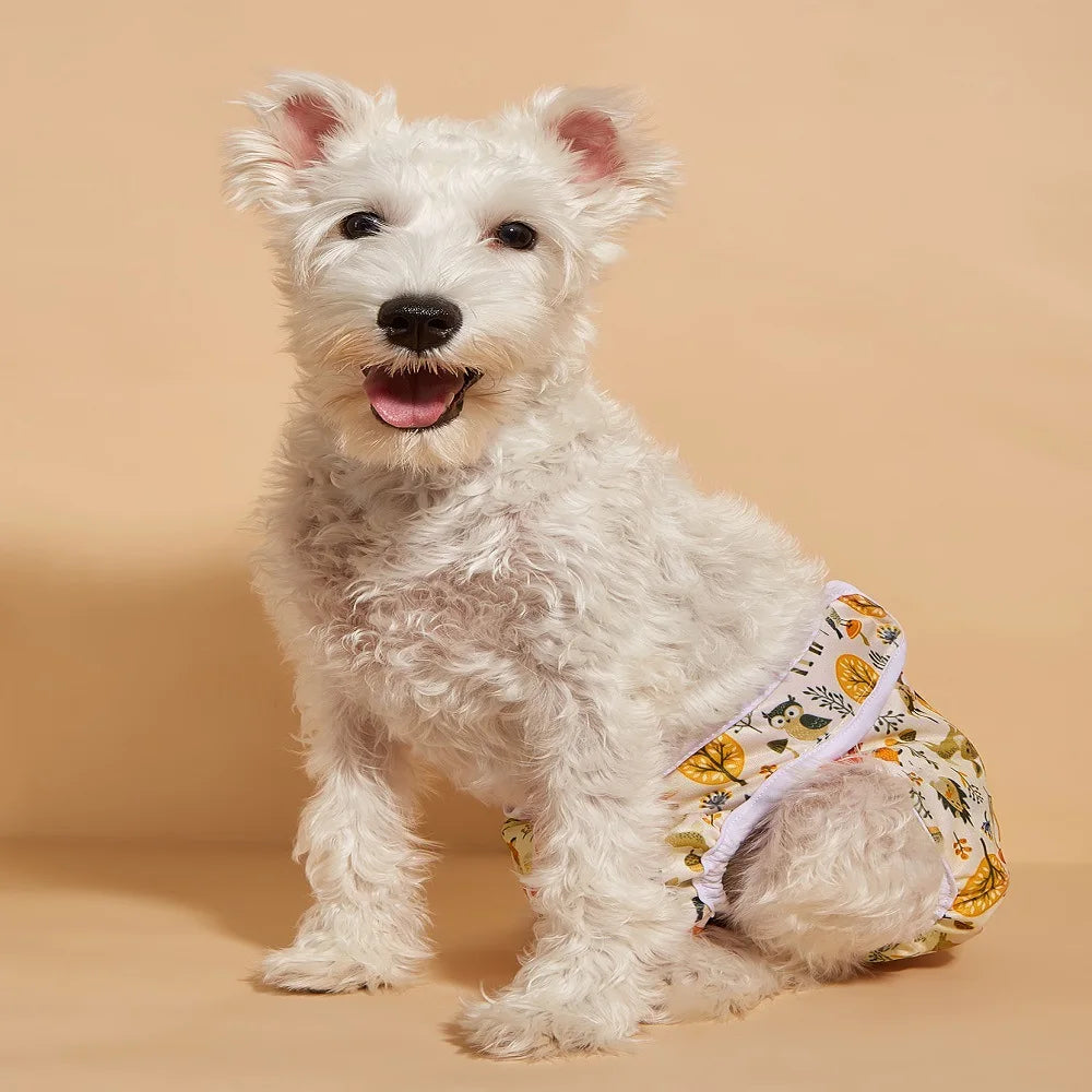 Washable Female Dog Diaper – Reusable Anti-Nuisance Menstrual Pants with Adjustable Velcro & Waterproof Fabric