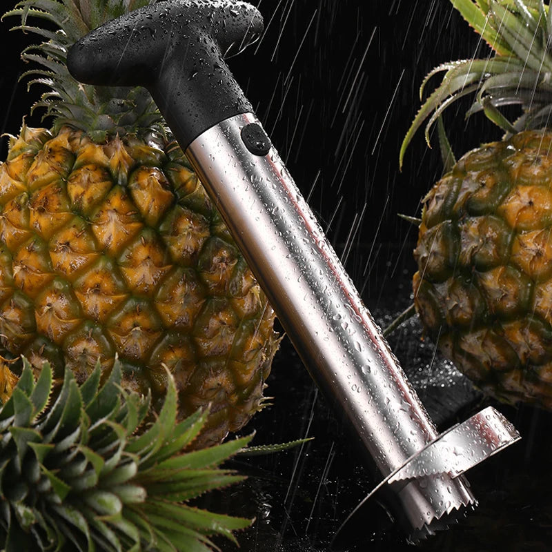 Stainless Steel Pineapple Corer Slicer – Spiral Fruit Cutter & Peeler with Plastic Handle