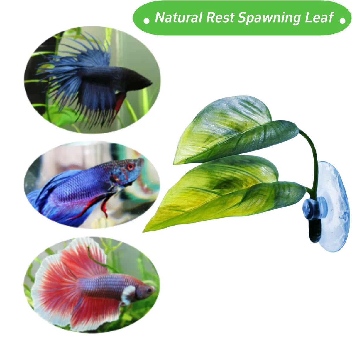 Artificial Leaf Hammock for Betta Fish – Relaxation & Spawning Plant Decoration for Aquariums