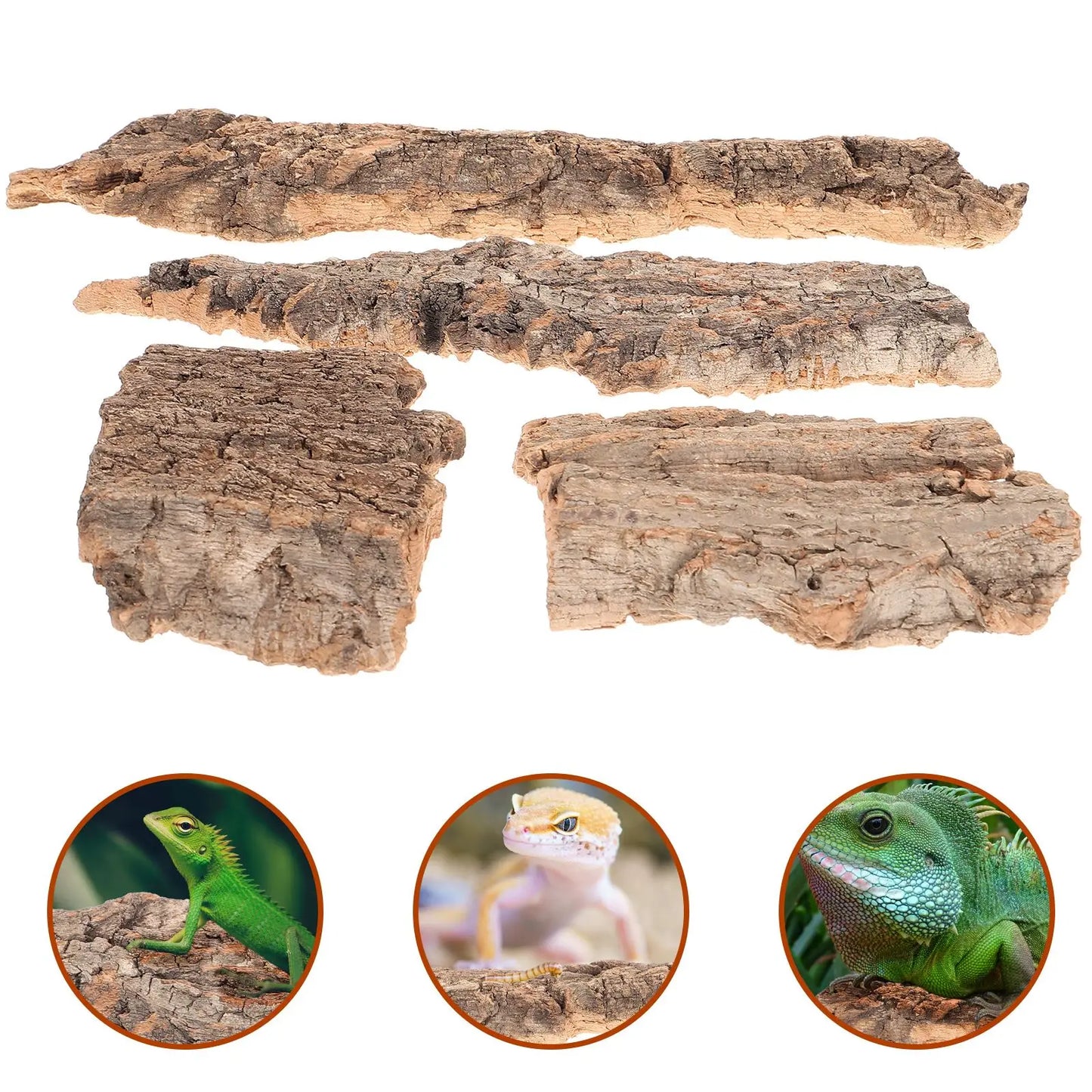 4pcs Natural Cork Bark Reptile Climbing Platform – Flat Tree Bark Terrarium Decor for Lizards, Snakes & Amphibian Tank Background