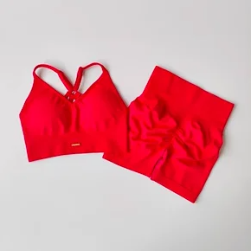 Women's Quick-Dry Yoga Set – High-Waisted Shorts & Beautiful Back Suspender Bra