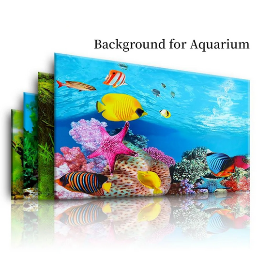 3D Double-Sided Aquarium Background Poster – Ocean Plants Landscape Decoration for Fish Tank Setup (Multiple Sizes)