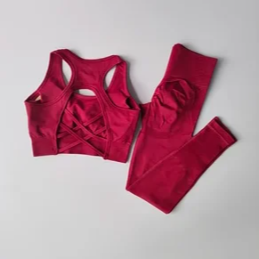 2-Piece Seamless Sports Bra and Leggings Set – Shockproof Yoga and Running Fitness Suit