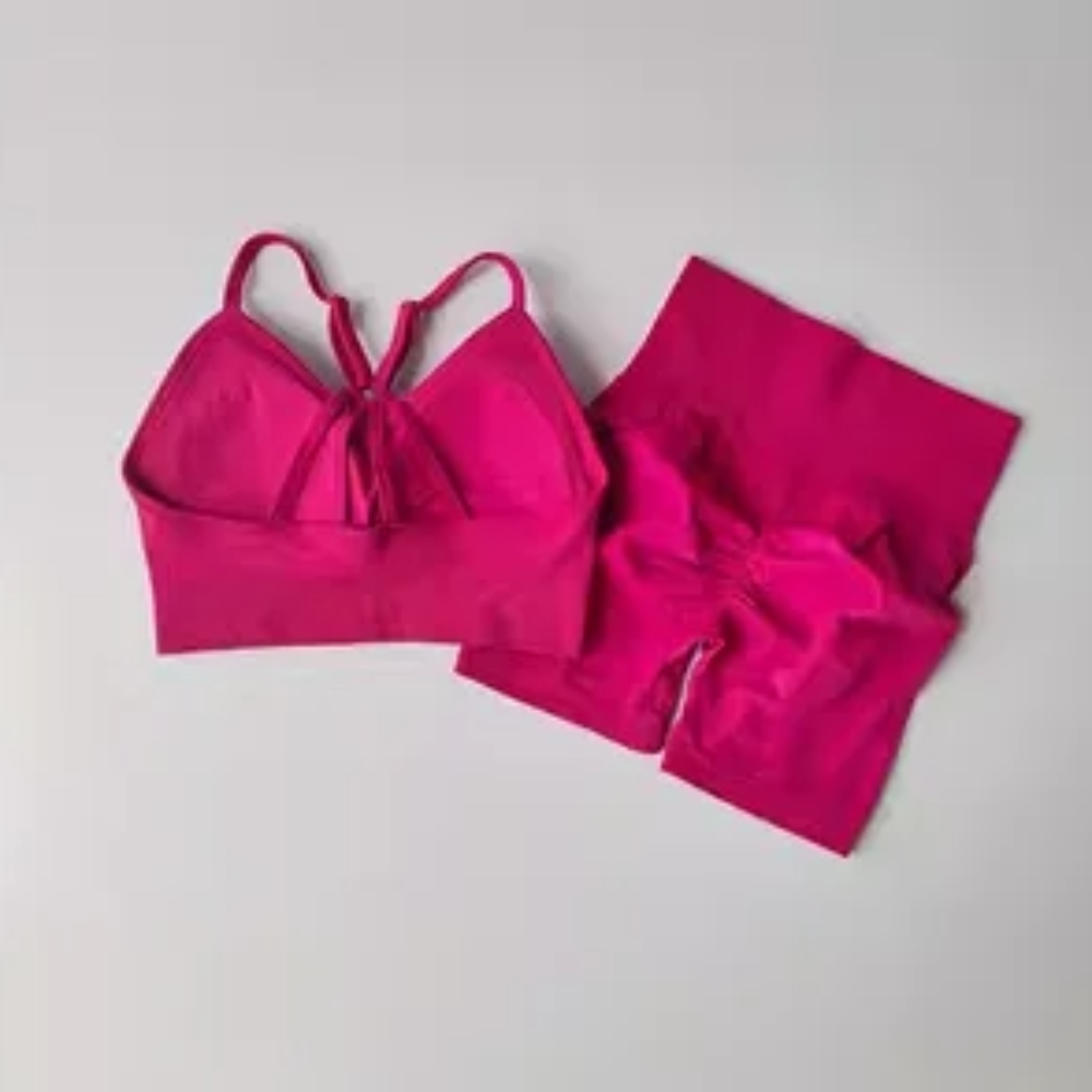 Women's Quick-Dry Yoga Set – High-Waisted Shorts & Beautiful Back Suspender Bra