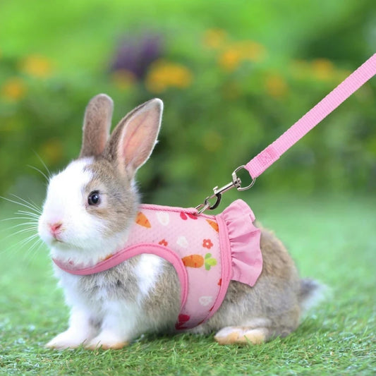 Adjustable Rabbit Harness and Leash Set – Breathable Mesh Vest Skirt for Bunny, Guinea Pig & Small Pets