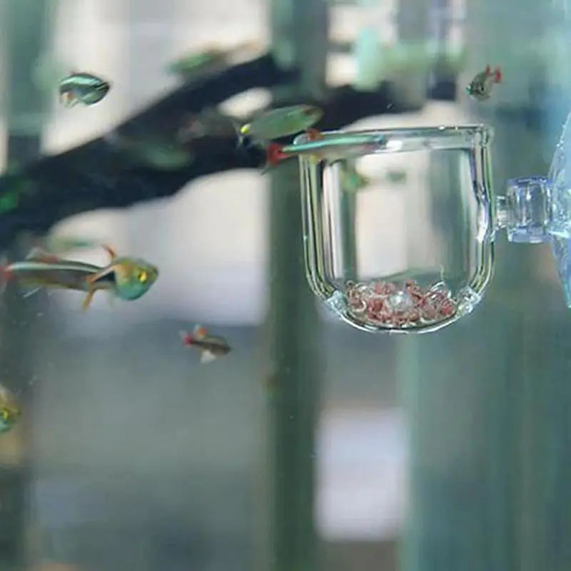 Acrylic Aquarium Planting Cup with Suction Holder – Transparent Aquatic Plant Cylinder Pot for Fish Tank Decoration (5x3cm)