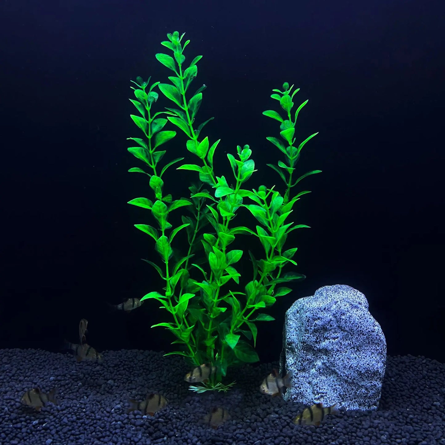 30cm Tall Artificial Aquarium Plants – Plastic Simulated Water Plants for Fish Tank Landscaping and Aquascaping Decoration