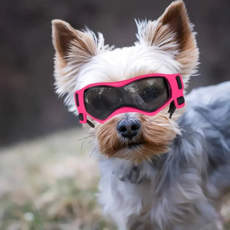UV-Protective Dog & Cat Sunglasses – Curved Lens Goggles for Small and Medium Pets, Outdoor Eye Protection