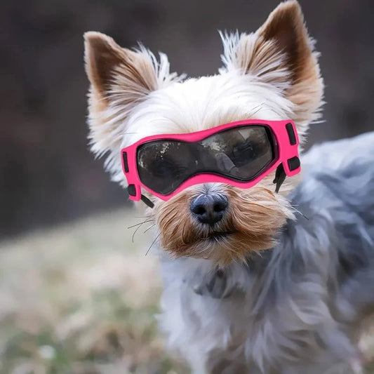 UV-Protective Dog & Cat Sunglasses – Curved Lens Goggles for Small and Medium Pets, Outdoor Eye Protection