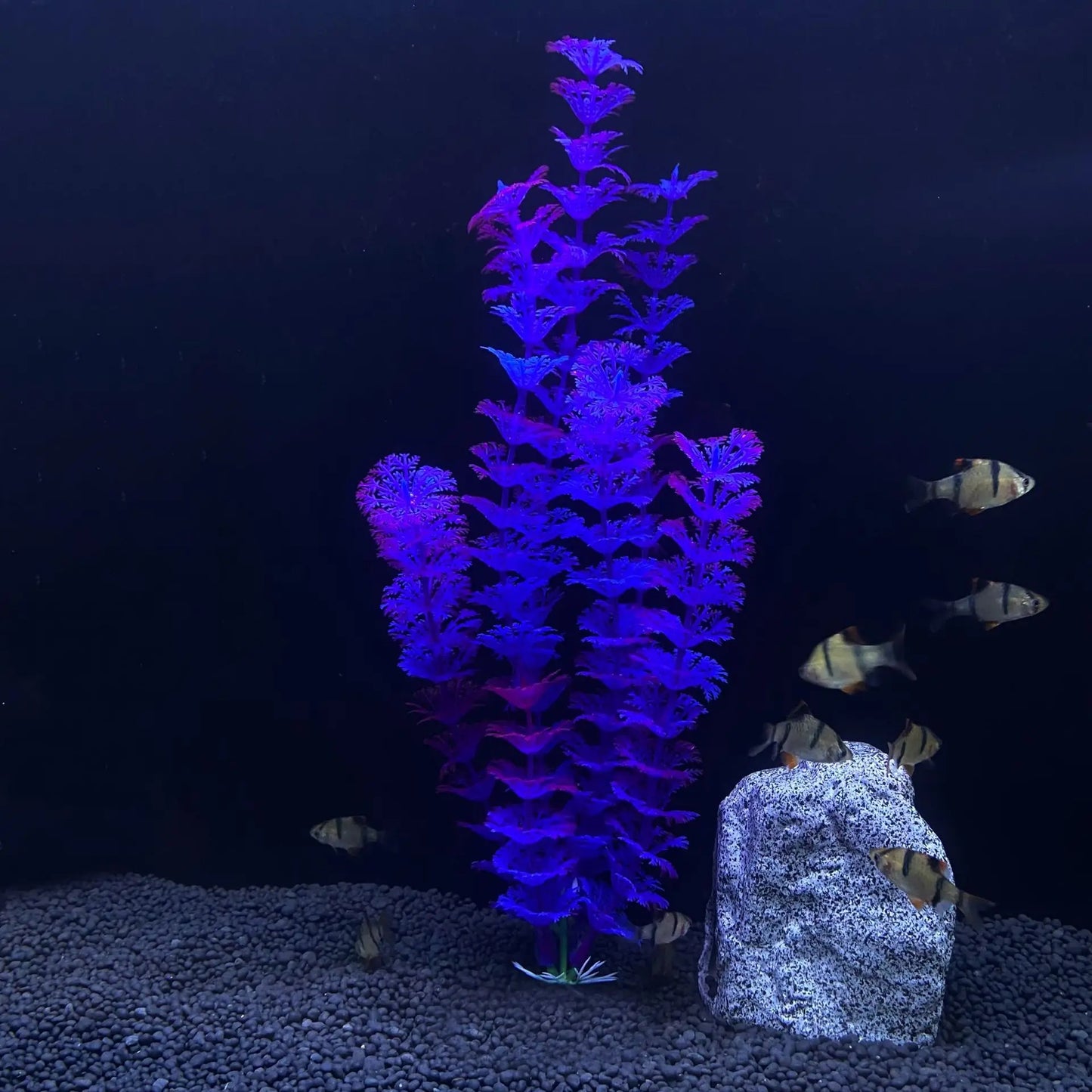 30cm Tall Artificial Aquarium Plants – Plastic Simulated Water Plants for Fish Tank Landscaping and Aquascaping Decoration