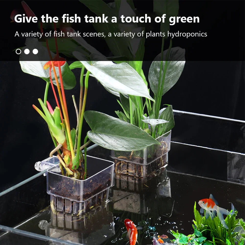 Transparent Hanging Aquarium Plant Basket – Aquatic Plant Holder Cup for Fish Tank Decorations & Accessories