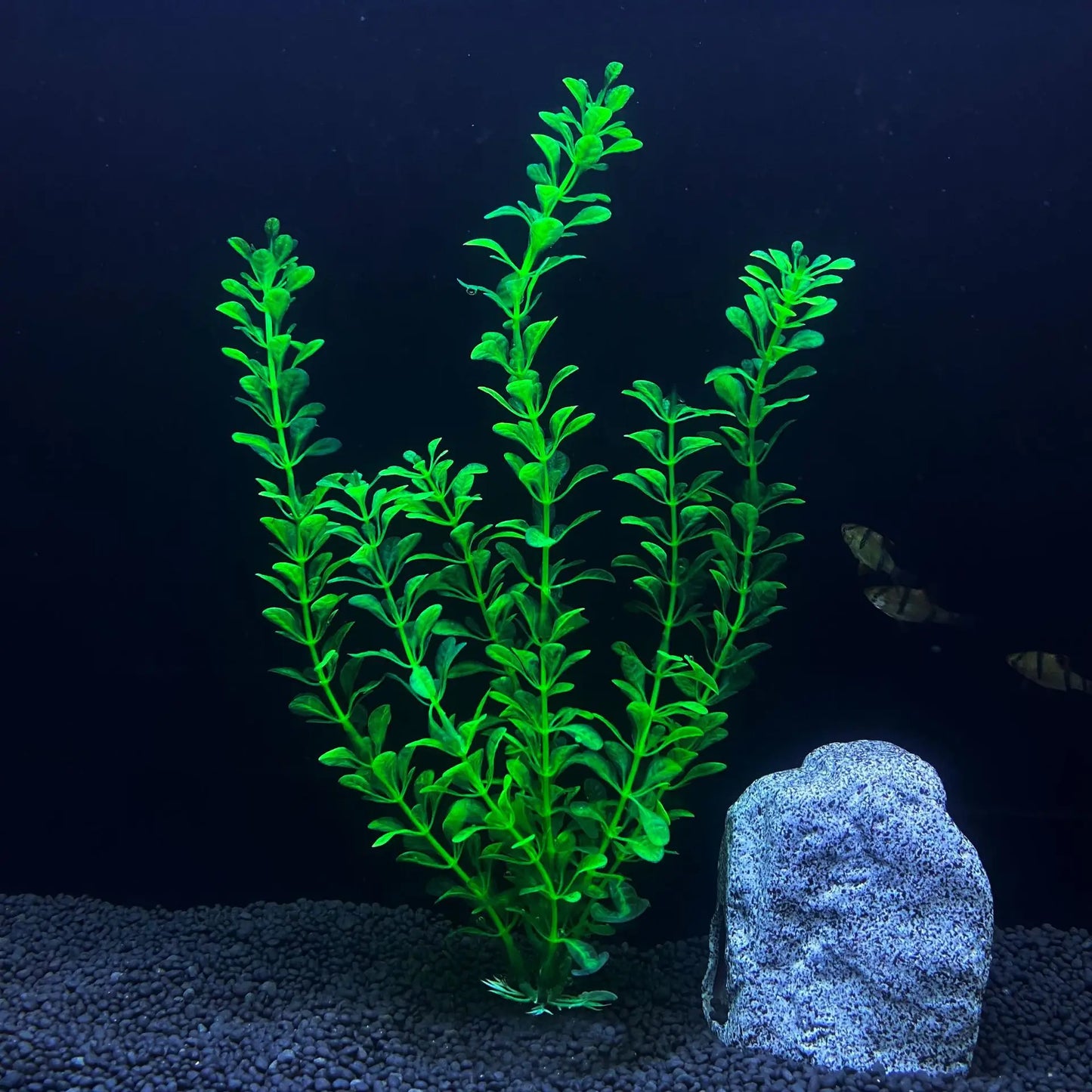 30cm Tall Artificial Aquarium Plants – Plastic Simulated Water Plants for Fish Tank Landscaping and Aquascaping Decoration