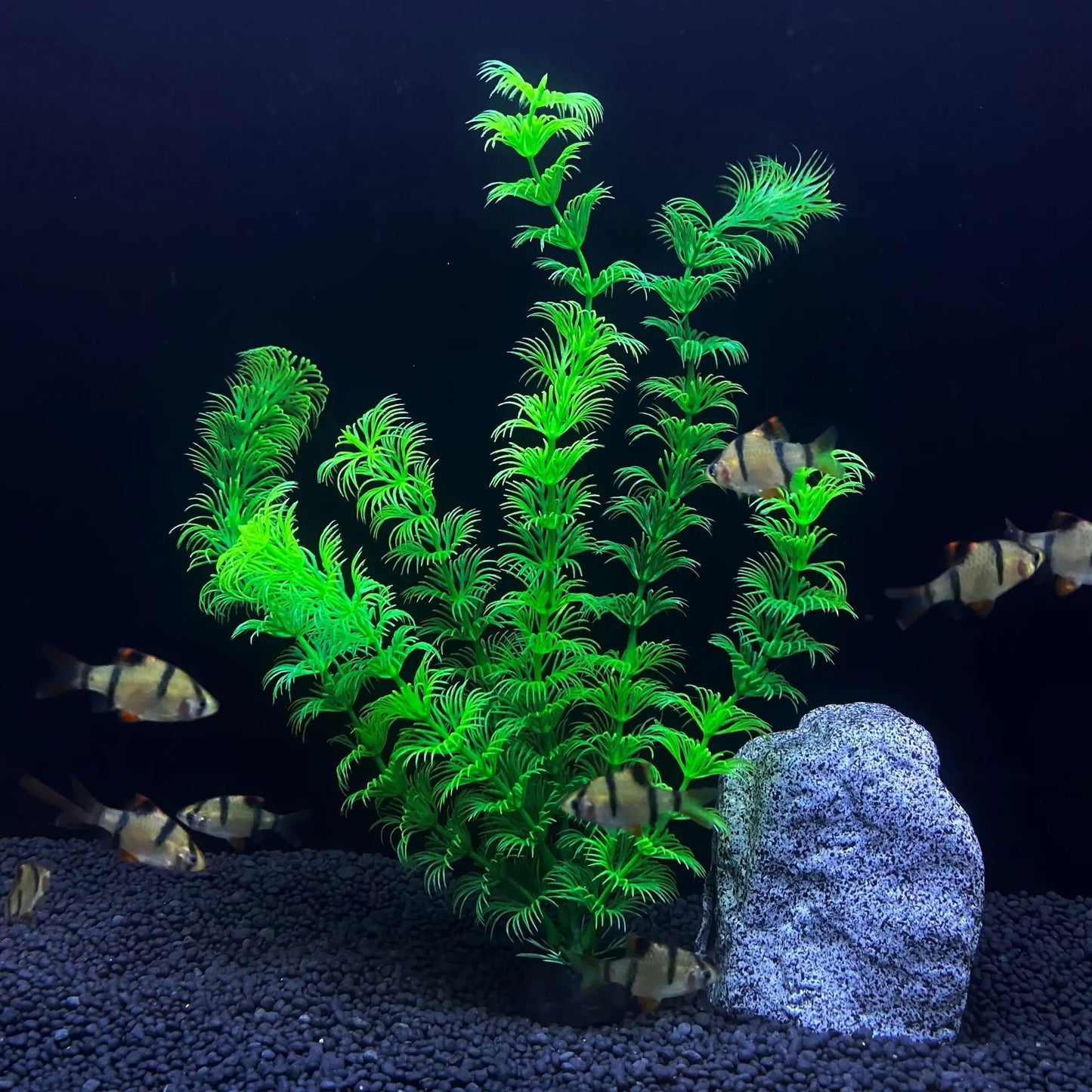 30cm Tall Artificial Aquarium Plants – Plastic Simulated Water Plants for Fish Tank Landscaping and Aquascaping Decoration