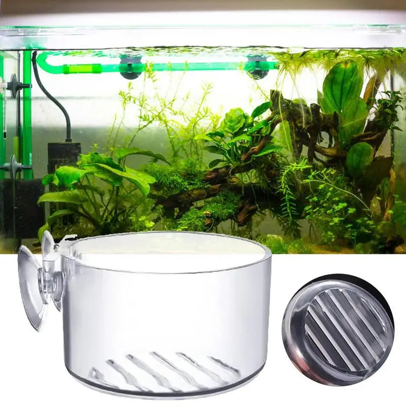 Acrylic Aquarium Plant Cup with Suction Holder – Transparent Hanging Pot for Aquatic Plants – Fish Tank Feeding and Decoration Tool