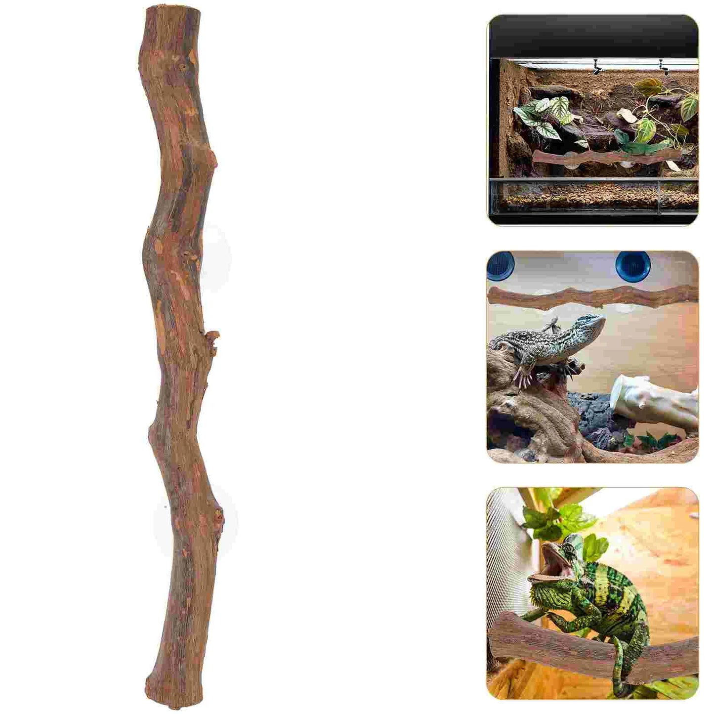 Wooden Tree Branch Reptile Accessory – Climbing and Perching Decoration for Bearded Dragons, Lizards, and Terrarium Setups