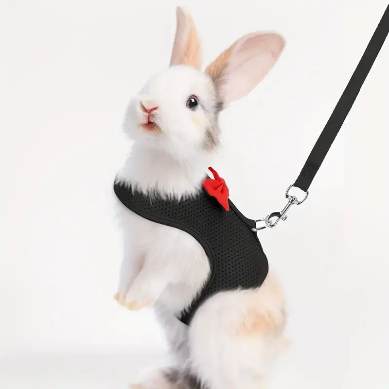 Breathable Mesh Pet Harness Set for Rabbits, Guinea Pigs, and Small Animals – Adjustable Chest and Back Vest with Leash