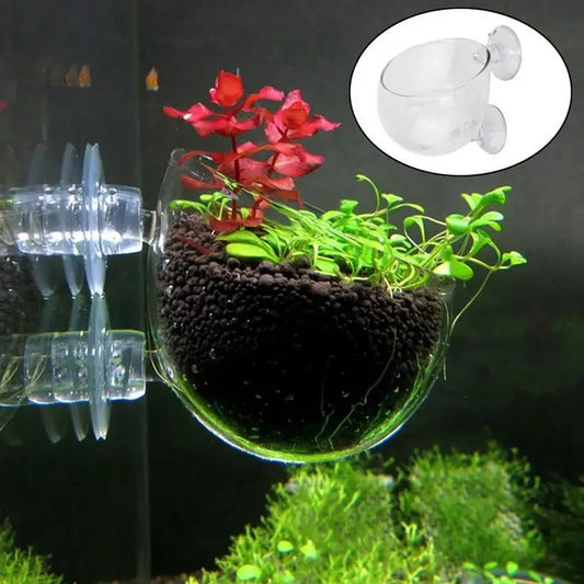 Acrylic Aquarium Planting Cup with Suction Holder – Transparent Aquatic Plant Cylinder Pot for Fish Tank Decoration (5x3cm)