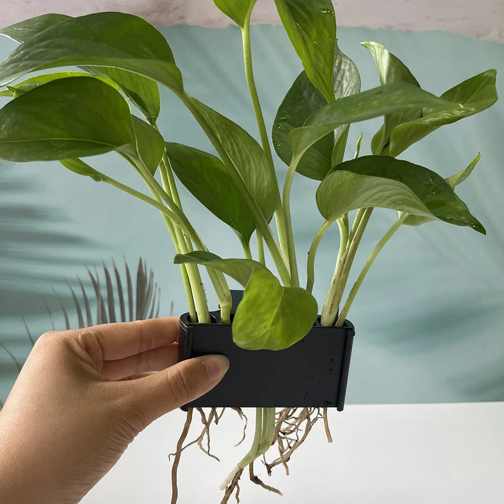 Aquarium Hanging Planter Basket with Hook – Durable Plastic Live Plant Holder for Fish Tanks – Promotes Root Growth & Water Circulation – Short & Long Hook Options