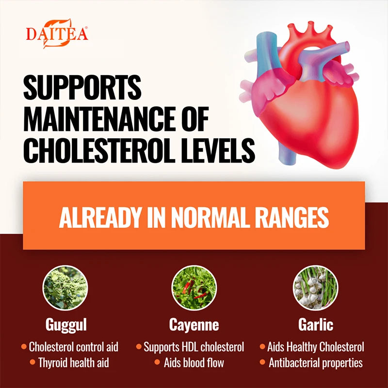 Cholesterol Health Supplement – Cardiovascular and Circulatory Support – Natural Plant Extracts, Antioxidant Formula, 120 Capsules