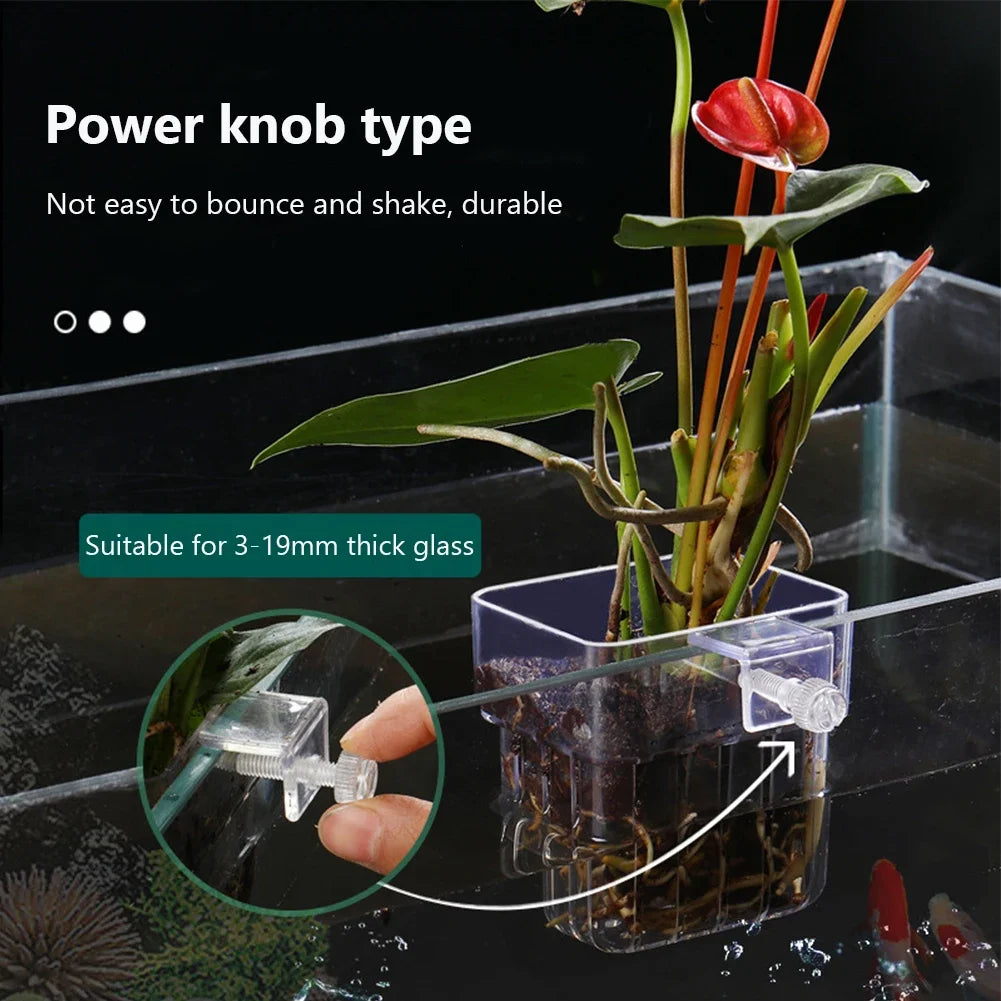 Transparent Hanging Aquarium Plant Basket – Aquatic Plant Holder Cup for Fish Tank Decorations & Accessories
