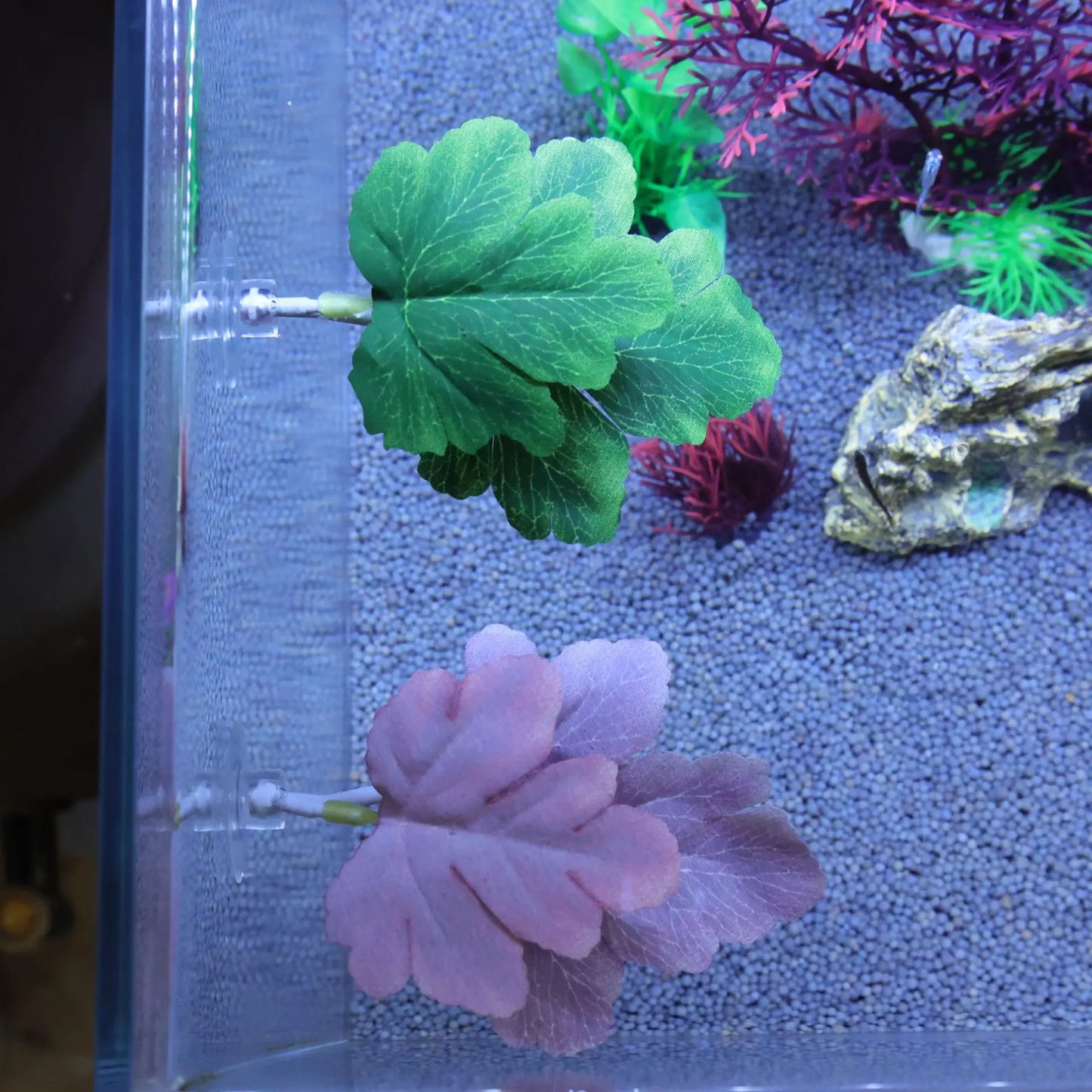 Betta Fish Rest Leaf – Suction Cup Aquarium Decoration for Spawning, Hiding & Resting | Simulated Plastic Water Grass