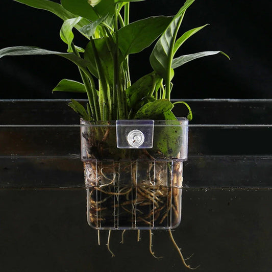 Transparent Hanging Aquarium Plant Basket – Aquatic Plant Holder Cup for Fish Tank Decorations & Accessories