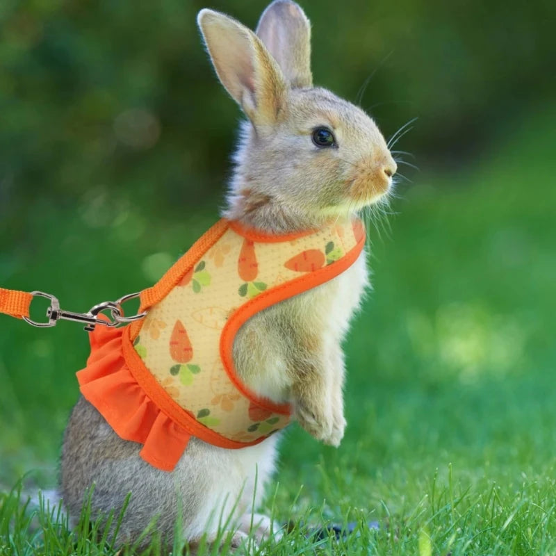 Adjustable Rabbit Harness and Leash Set – Breathable Mesh Vest Skirt for Bunny, Guinea Pig & Small Pets
