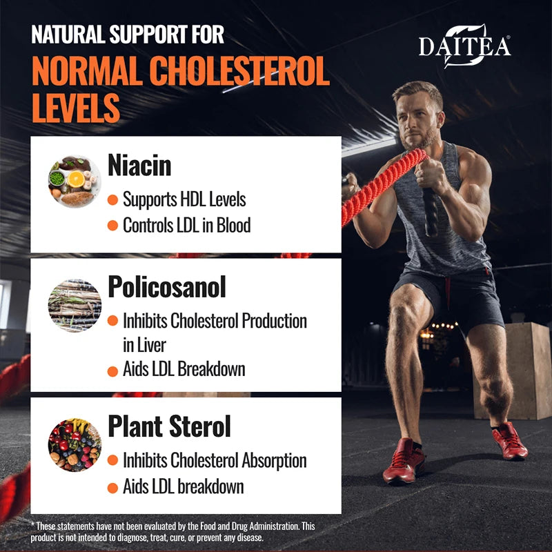Cholesterol Health Supplement – Cardiovascular and Circulatory Support – Natural Plant Extracts, Antioxidant Formula, 120 Capsules