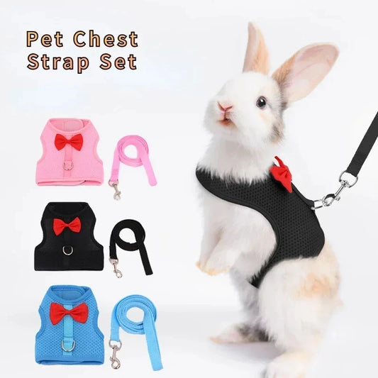 Breathable Mesh Pet Harness Set for Rabbits, Guinea Pigs, and Small Animals – Adjustable Chest and Back Vest with Leash
