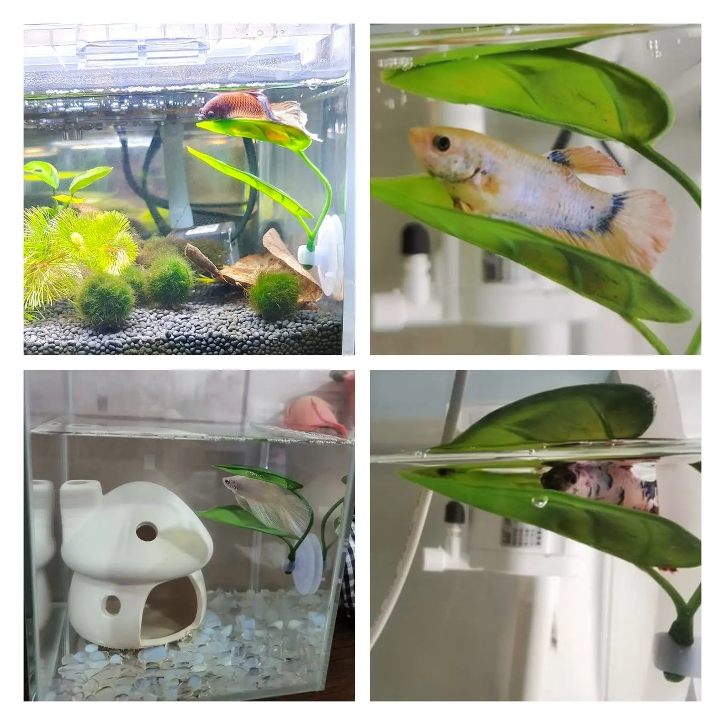 Artificial Leaf Hammock for Betta Fish – Relaxation & Spawning Plant Decoration for Aquariums