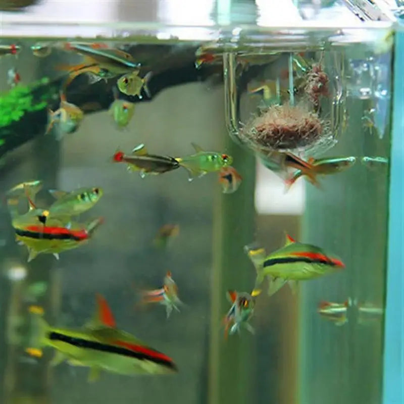 Acrylic Aquarium Planting Cup with Suction Holder – Transparent Aquatic Plant Cylinder Pot for Fish Tank Decoration (5x3cm)