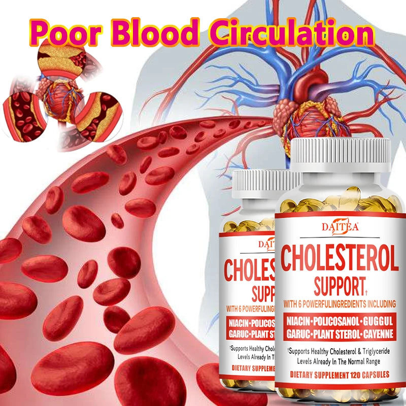 Cholesterol Health Supplement – Cardiovascular and Circulatory Support – Natural Plant Extracts, Antioxidant Formula, 120 Capsules