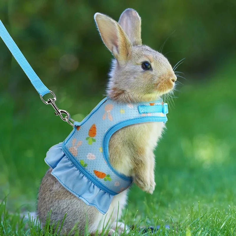Adjustable Rabbit Harness and Leash Set – Breathable Mesh Vest Skirt for Bunny, Guinea Pig & Small Pets