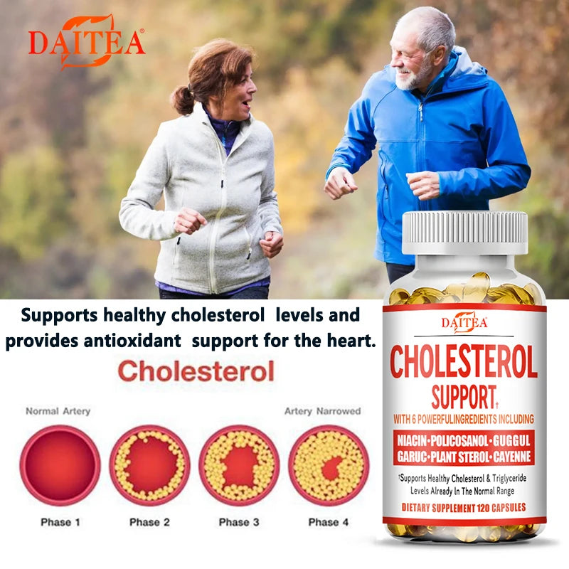 Cholesterol Health Supplement – Cardiovascular and Circulatory Support – Natural Plant Extracts, Antioxidant Formula, 120 Capsules