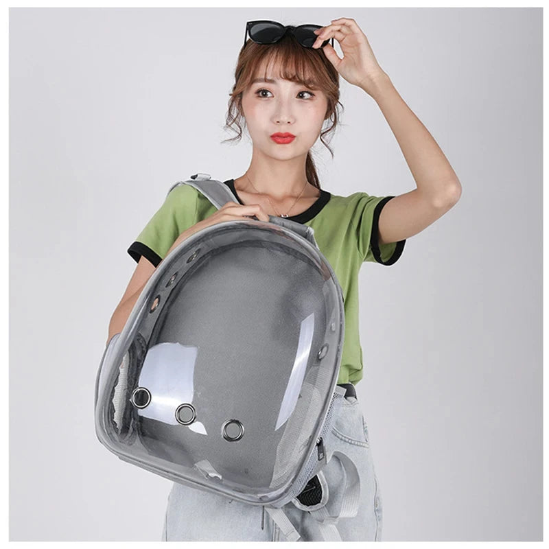 Cat Backpack Carrier – Transparent Panoramic View Pet Travel Bag, Breathable & Lightweight Shoulder Backpack for Medium Cats