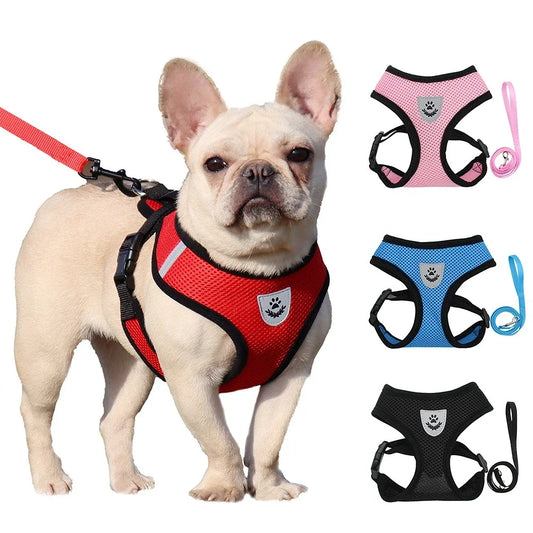 Adjustable Reflective Mesh Dog & Cat Harness with Leash – Breathable Vest for Small Pets