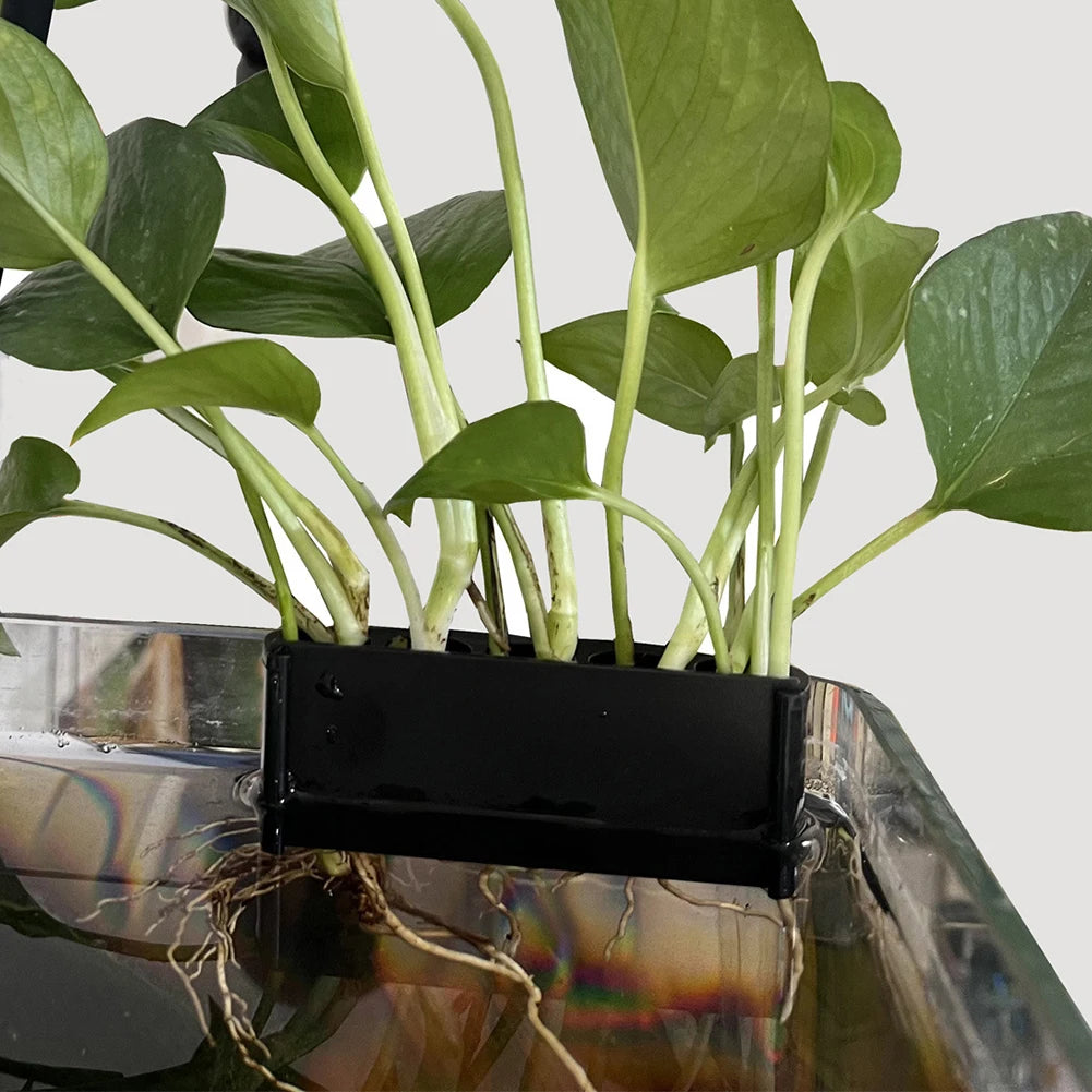 Aquarium Hanging Planter Basket with Hook – Durable Plastic Live Plant Holder for Fish Tanks – Promotes Root Growth & Water Circulation – Short & Long Hook Options