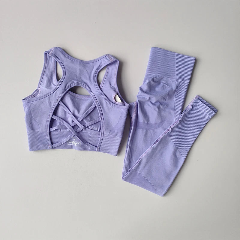 2-Piece Seamless Sports Bra and Leggings Set – Shockproof Yoga and Running Fitness Suit