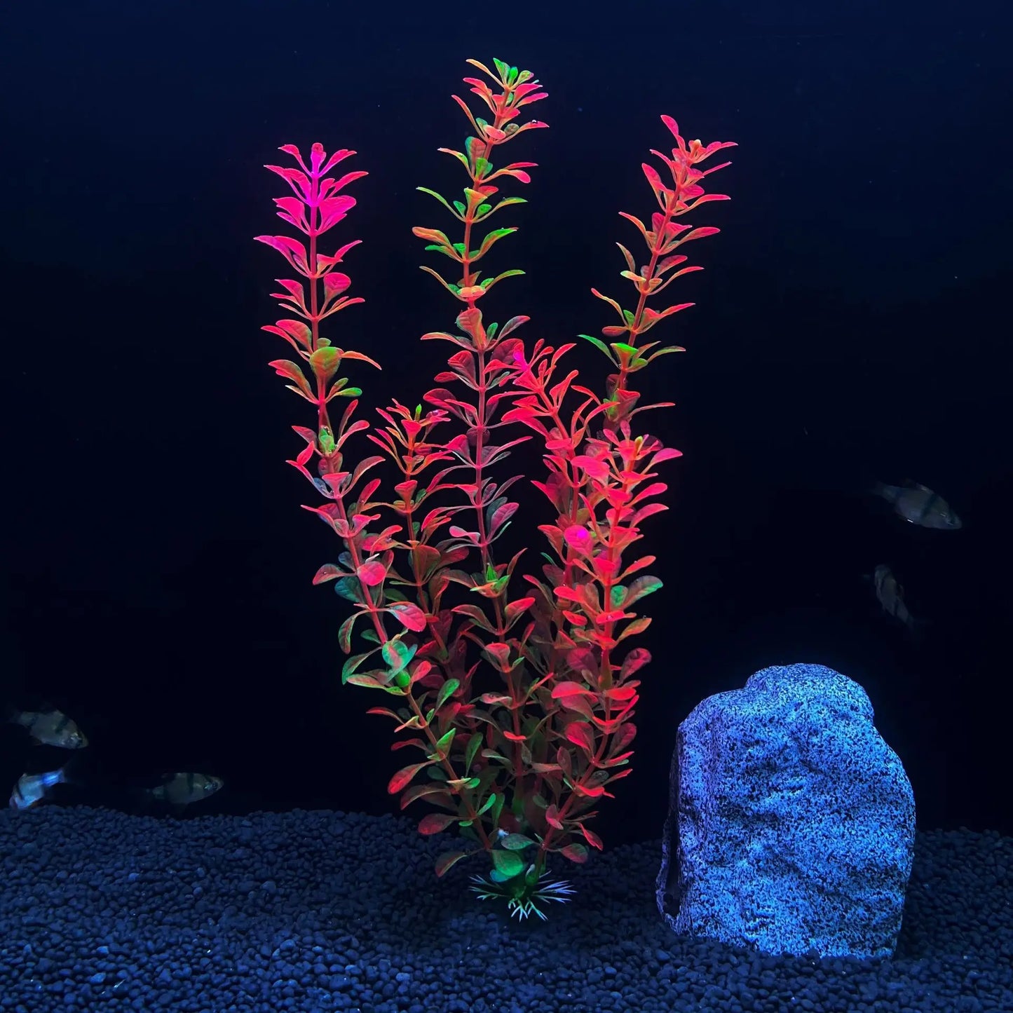 30cm Tall Artificial Aquarium Plants – Plastic Simulated Water Plants for Fish Tank Landscaping and Aquascaping Decoration