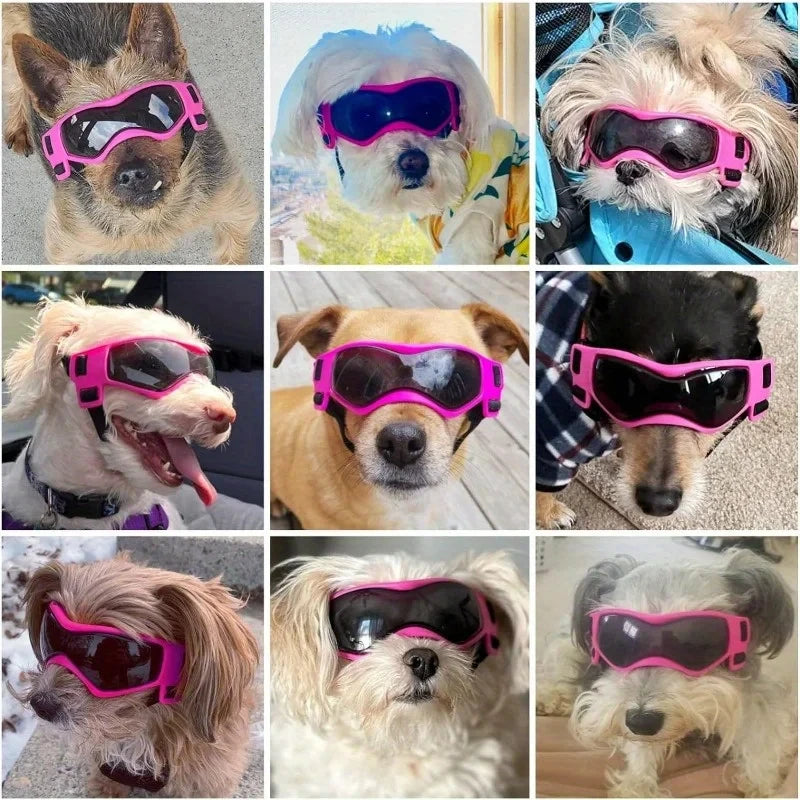 UV-Protective Dog & Cat Sunglasses – Curved Lens Goggles for Small and Medium Pets, Outdoor Eye Protection