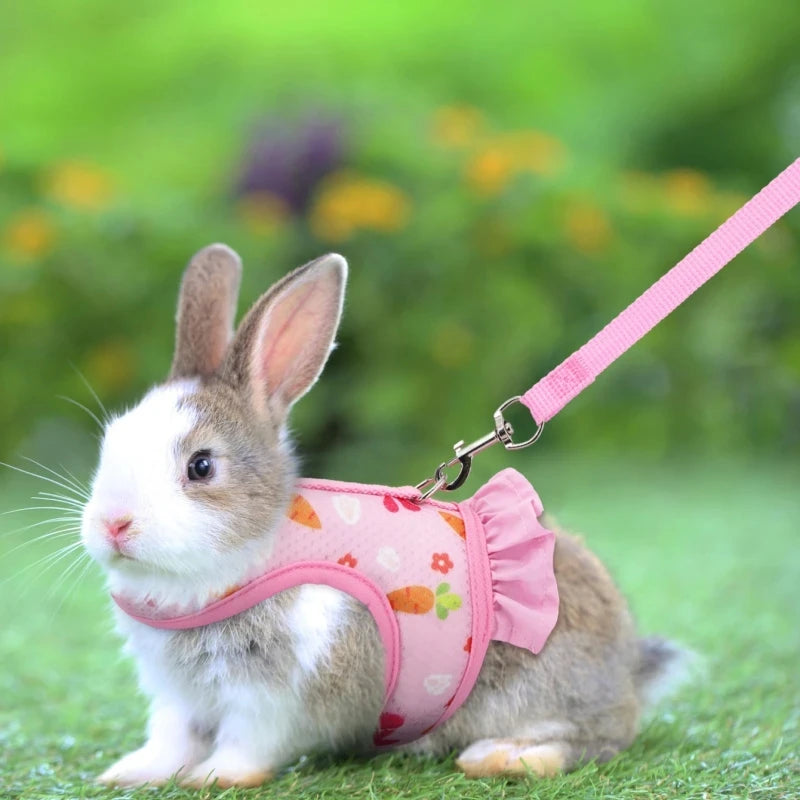 Adjustable Rabbit Harness and Leash Set – Breathable Mesh Vest Skirt for Bunny, Guinea Pig & Small Pets