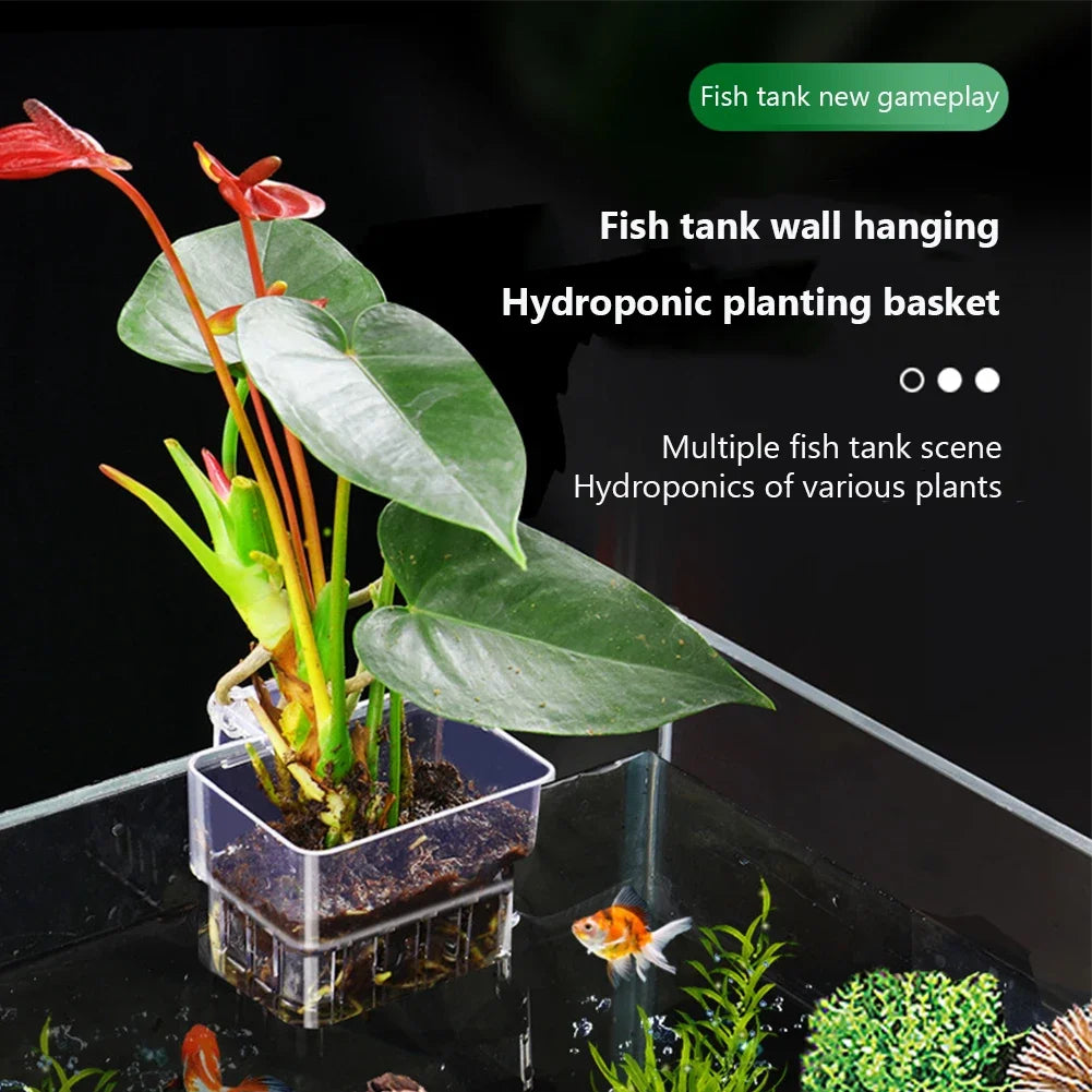 Transparent Hanging Aquarium Plant Basket – Aquatic Plant Holder Cup for Fish Tank Decorations & Accessories