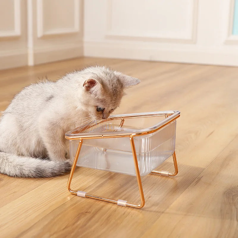 Transparent Double Cat Bowl with Tilted Stand – Anti-Slip Raised Pet Feeder for Food and Water