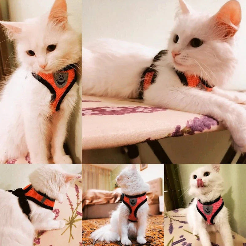 Adjustable Reflective Mesh Dog & Cat Harness with Leash – Breathable Vest for Small Pets