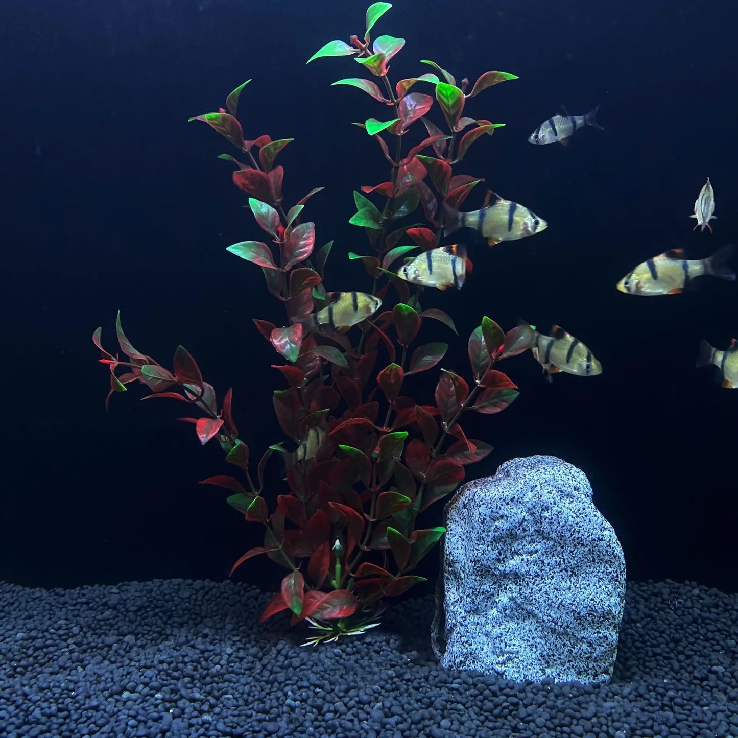 30cm Tall Artificial Aquarium Plants – Plastic Simulated Water Plants for Fish Tank Landscaping and Aquascaping Decoration