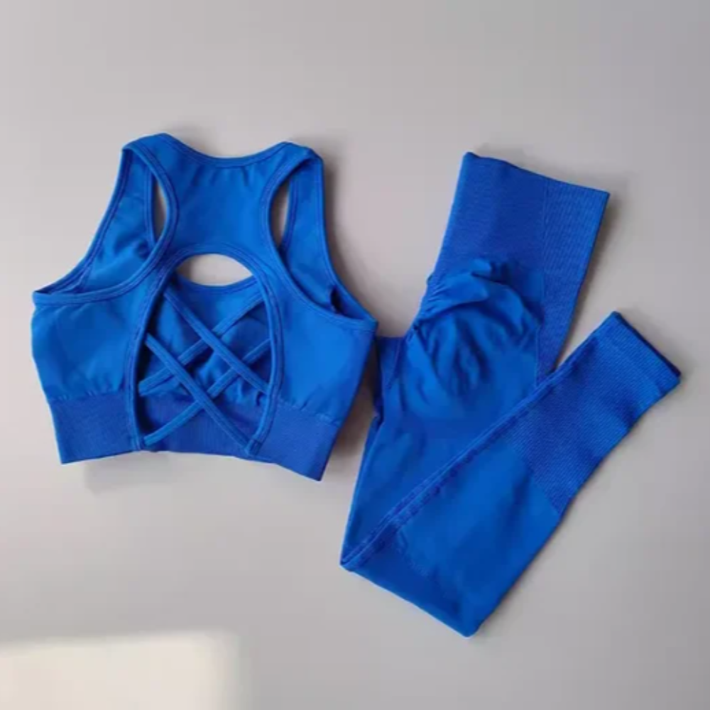 2-Piece Seamless Sports Bra and Leggings Set – Shockproof Yoga and Running Fitness Suit