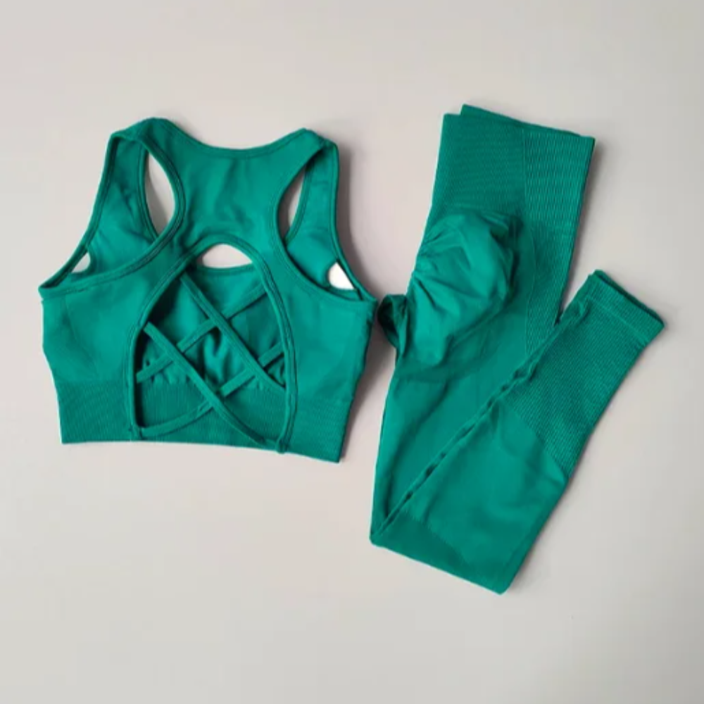 2-Piece Seamless Sports Bra and Leggings Set – Shockproof Yoga and Running Fitness Suit